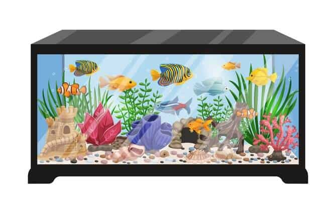 Home Aquarium tank cartoon illustration