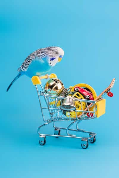 Blue wavy parrot on mini shopping