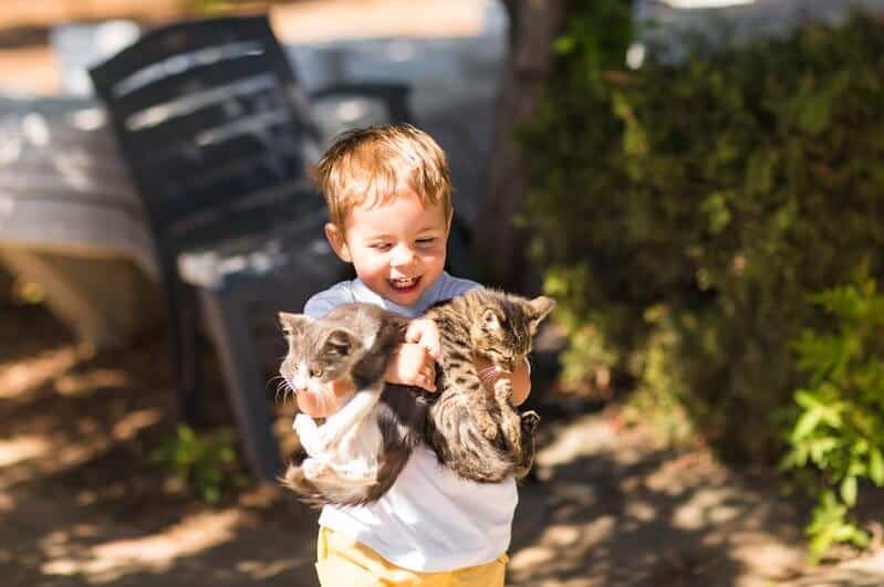 Cute lovely boy with kitten in a park