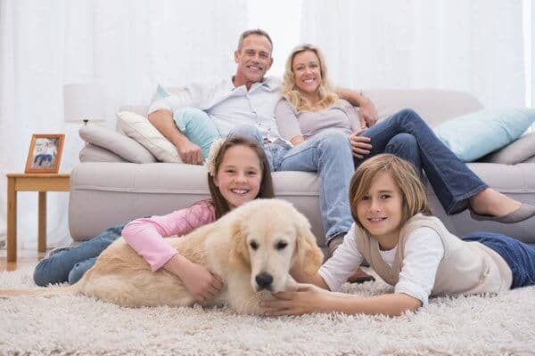 Cute siblings playing with dog with their parent on the sofa