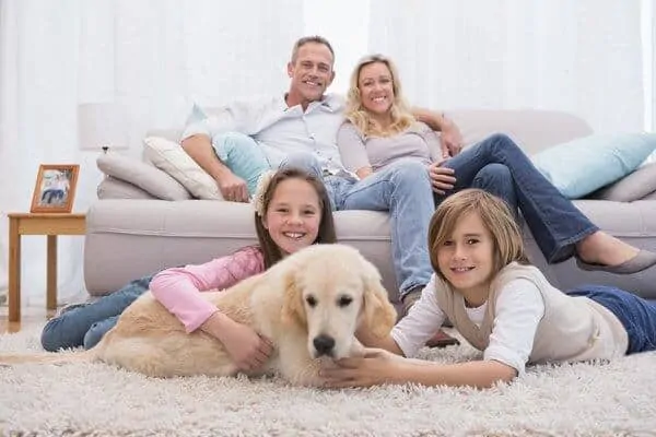 Cute siblings playing with dog with their parent on the sofa