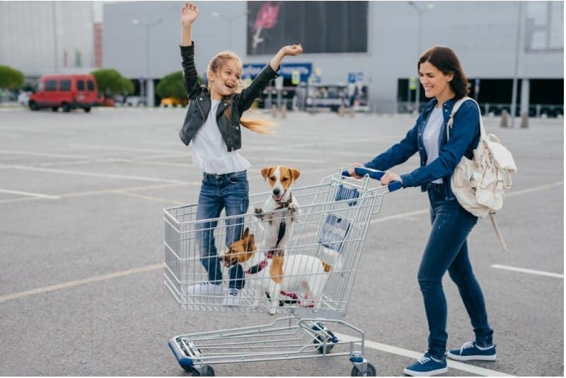 Happy young mother, daughter and their two dogs in shopping cart preparing their new puppy checklist