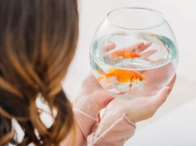 Young woman holding fish bowl with two gold fish