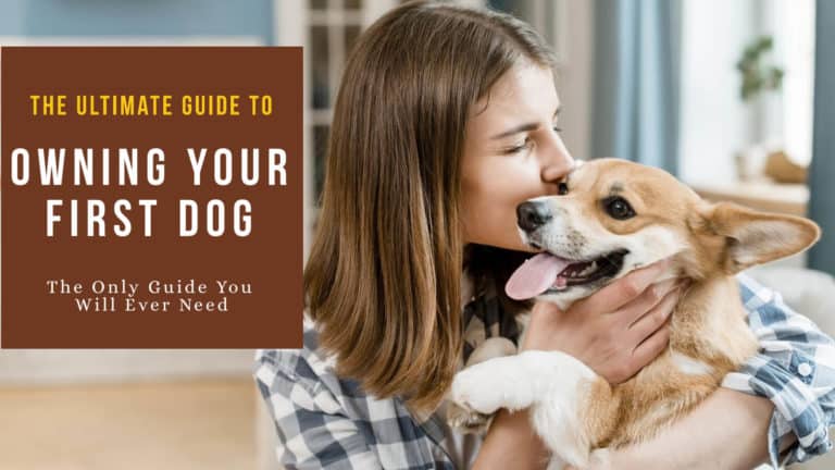 Woman holding and kissing her dog with text: THE ULTIMATE BEGINNER GUIDE TO OWNING YOUR FIRST DOG NEW PUPPY CHECKLIST