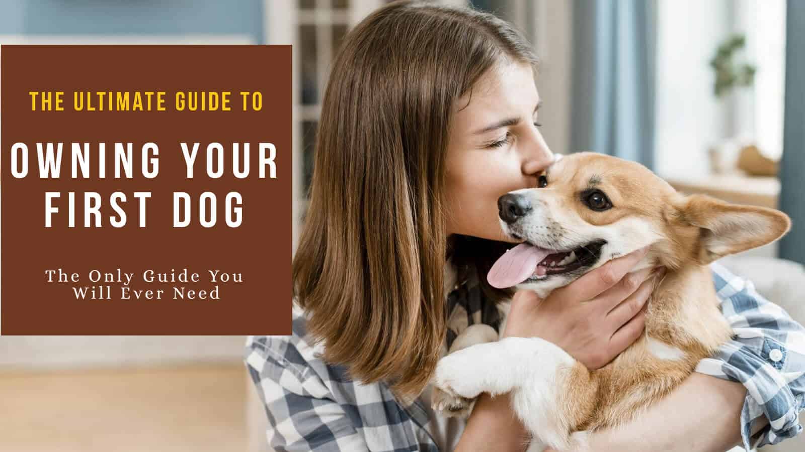 What To Expect Owning A Dog