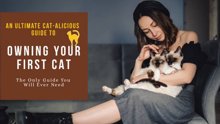 woman holding and kissing two kitten with text- THE ULTIMATE BEGINNER GUIDE TO OWNING YOUR FIRST CAT