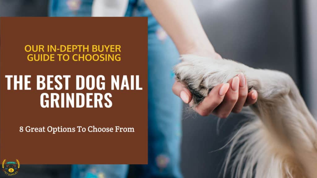 best nail grinder for small dogs