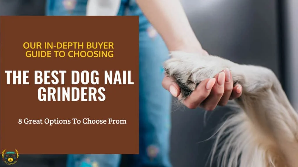 Top 10 Best Dog Nail Grinder Reviews, Comparison, and Guide