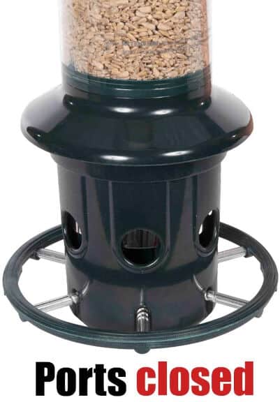 Brome Squirrel Buster Plus Squirrel Proof 5
