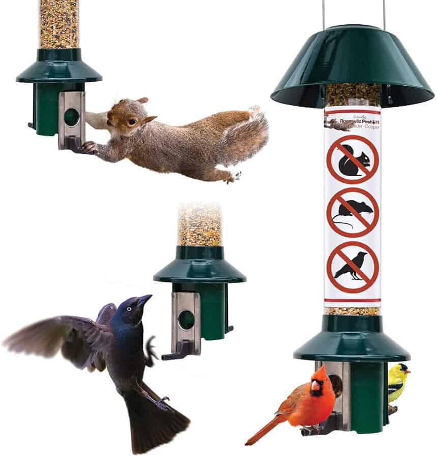 standing squirrel proof bird feeder standing squirrel proof bird feeder