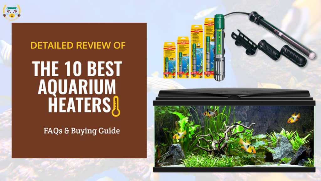 The 10 Best Aquarium Heaters in 2024 Reviews & Buyer Guide