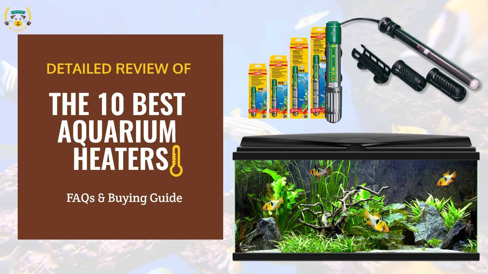 Everything You Need To Know About Aquarium Heaters - Bunnycart Blog