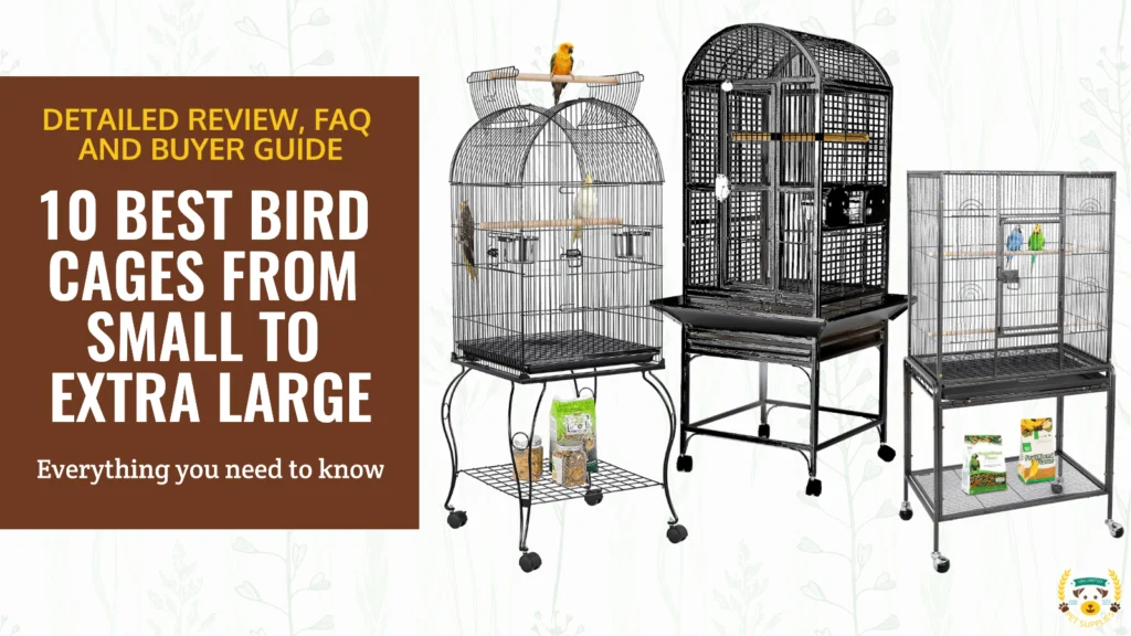 10 Best Bird Cages For Parrots [2023 Reviews]
