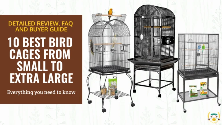 10 Best Bird Cages From Small To Extra Large