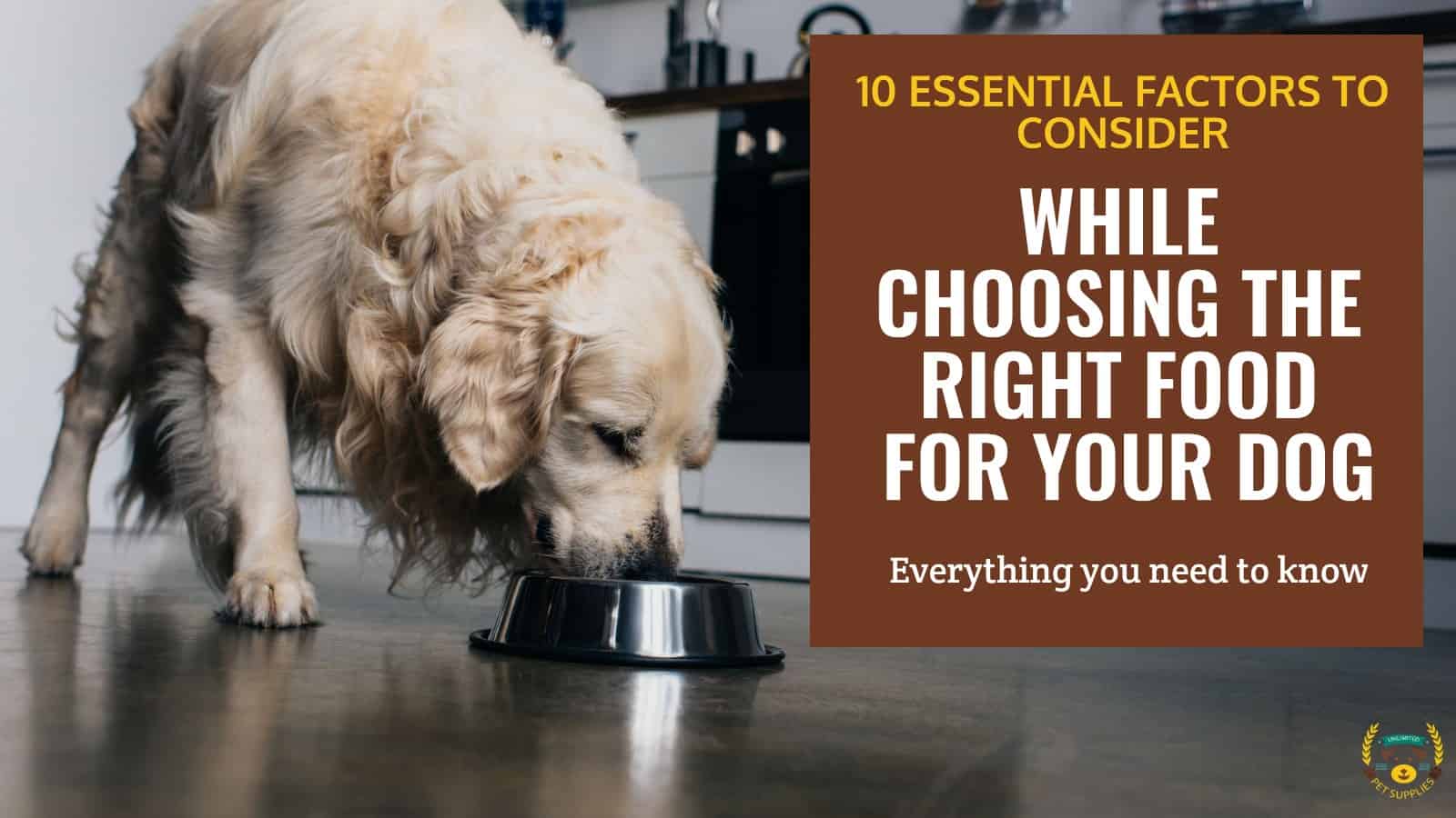 10 Things to Consider While Choosing Dog Food Pet Supplies Unlimited