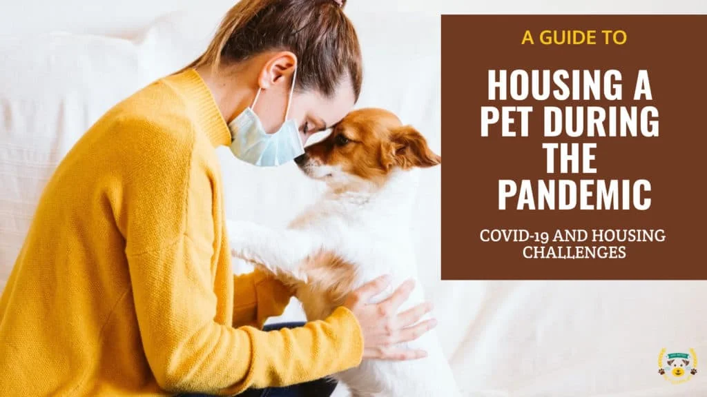 A Guide to Housing a Pet During the Pandemic