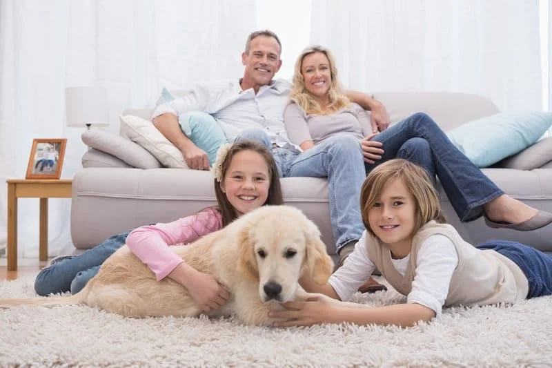 Cute siblings playing with dog with their parent on the sofa at home in the living room