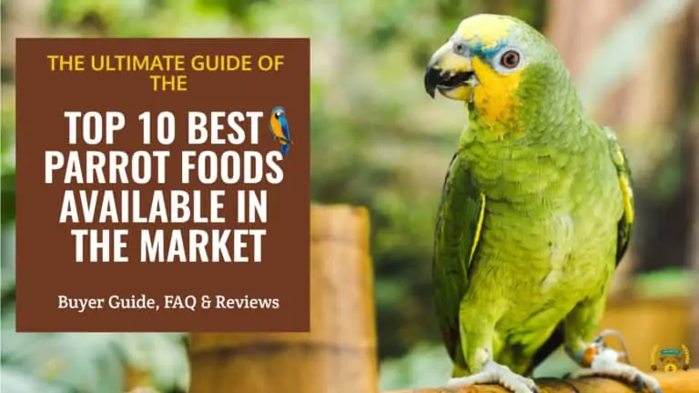 Green parakeet standing next to a cage with the text: top 10 best parrot foods available in the market
