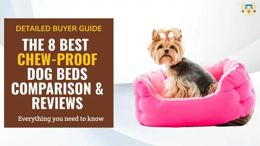 8 Best Chew-Proof, Indestructible Dog Beds Reviews & Guide