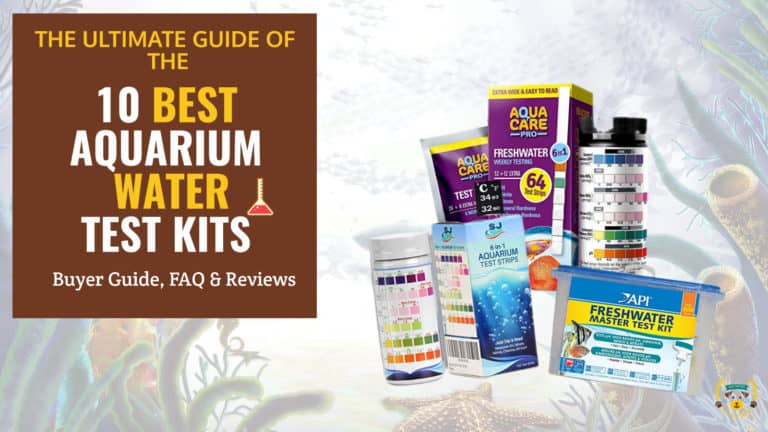 Best aquarium water test kits