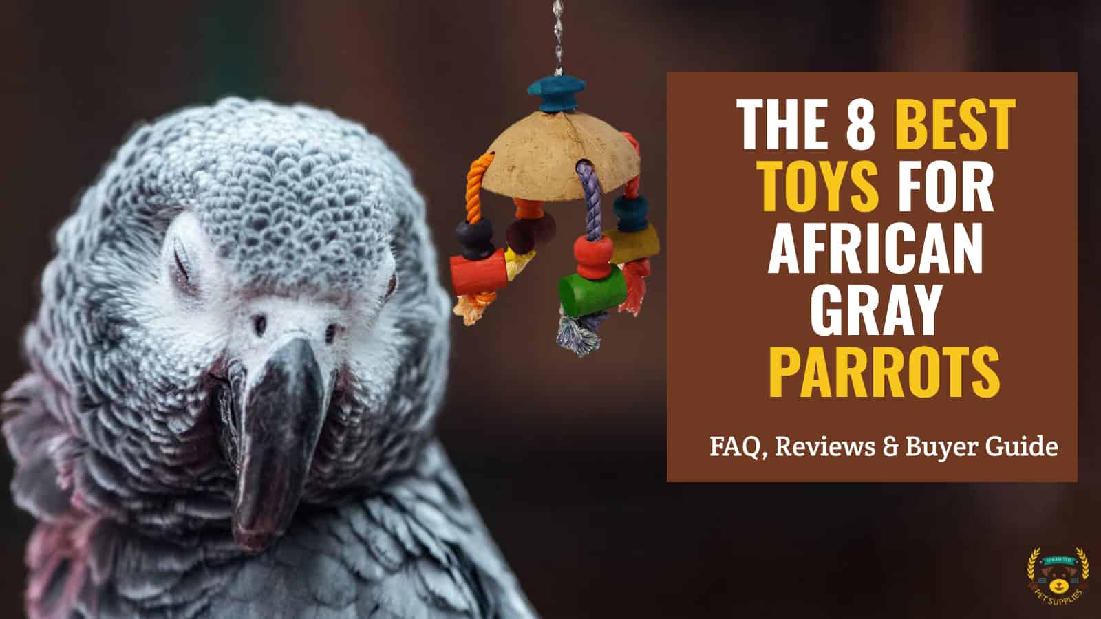 The 8 Best African Grey Parrot Toys [2023 Reviews]