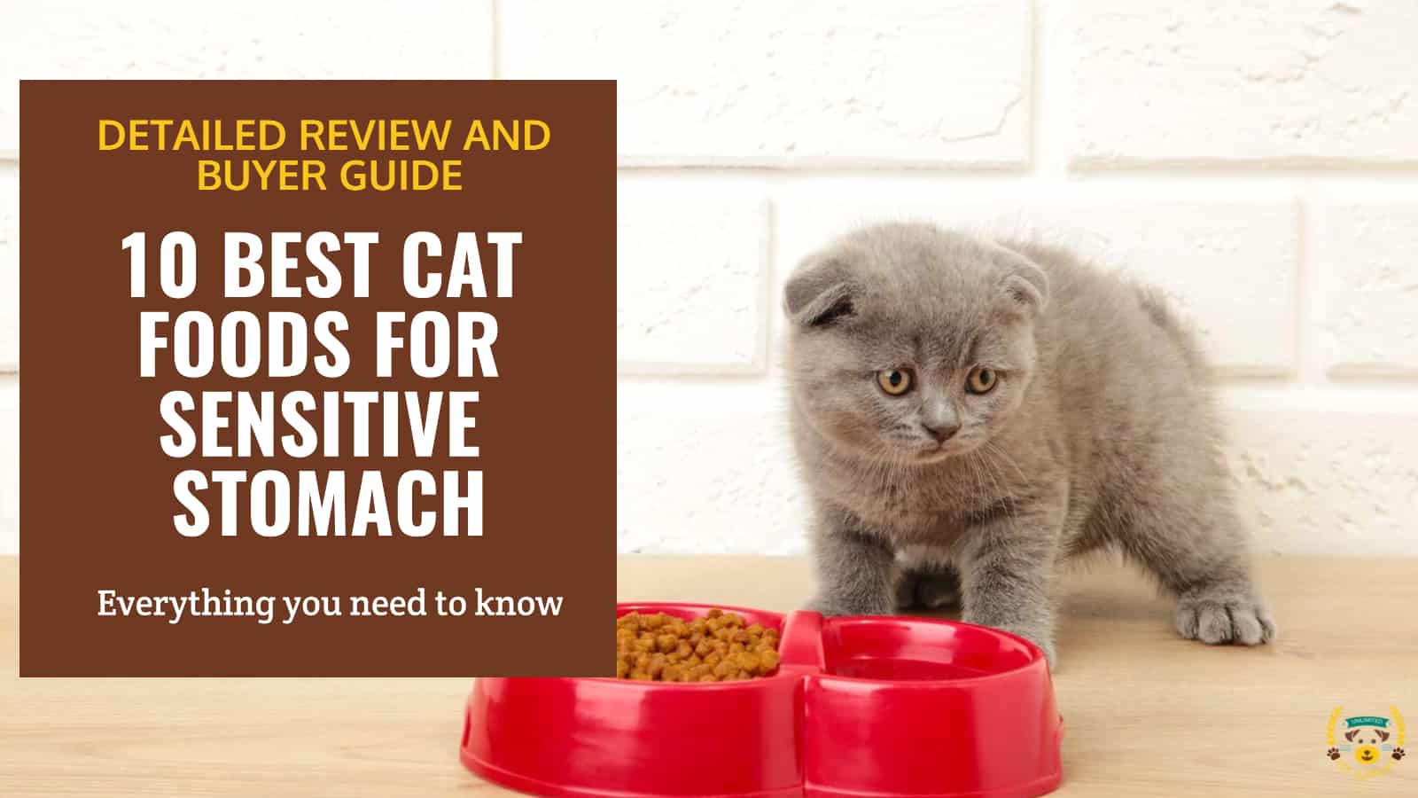 Best Wet Cat Food For Sensitive Stomach Diarrhea Uk Ileen Samuel