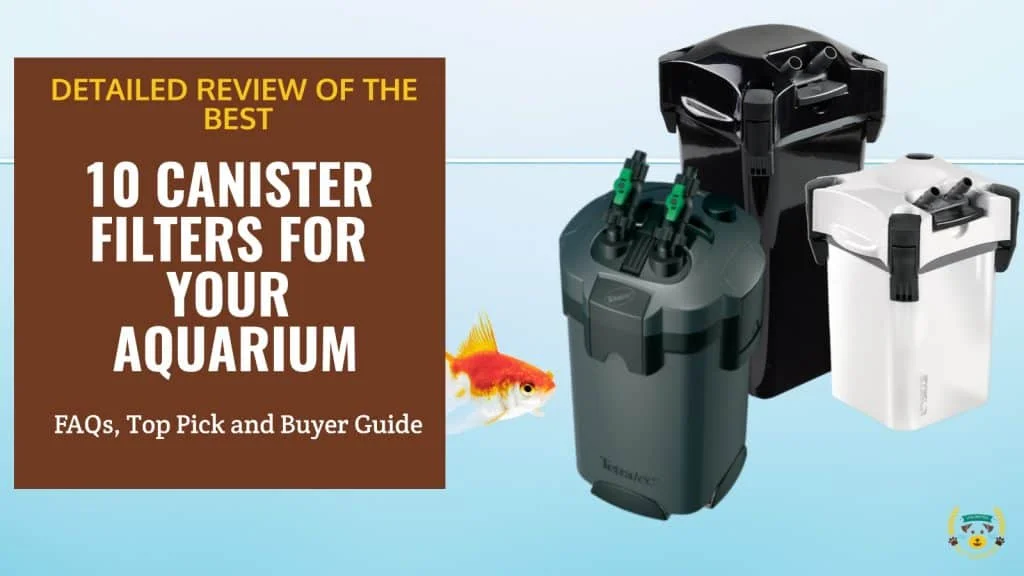 What is The Best Canister Filter For Your Aquarium? 10 Best Picks Reviewed