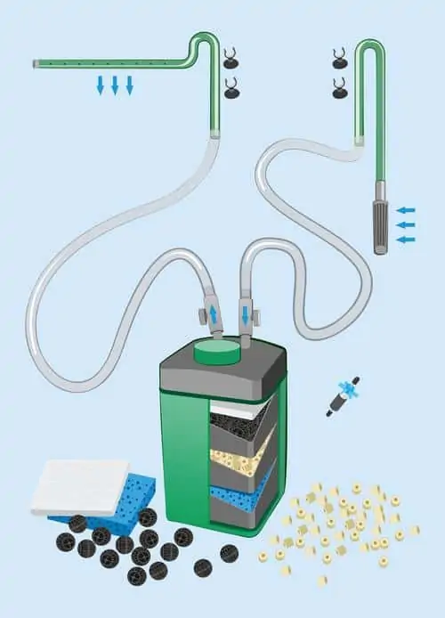 Best canister filter for aquarium