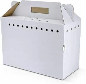 disposable cardboard carrier