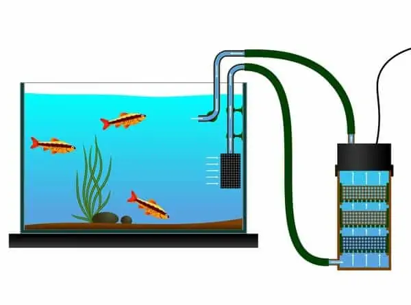 Illustration of a canister filter system connected to an aquarium