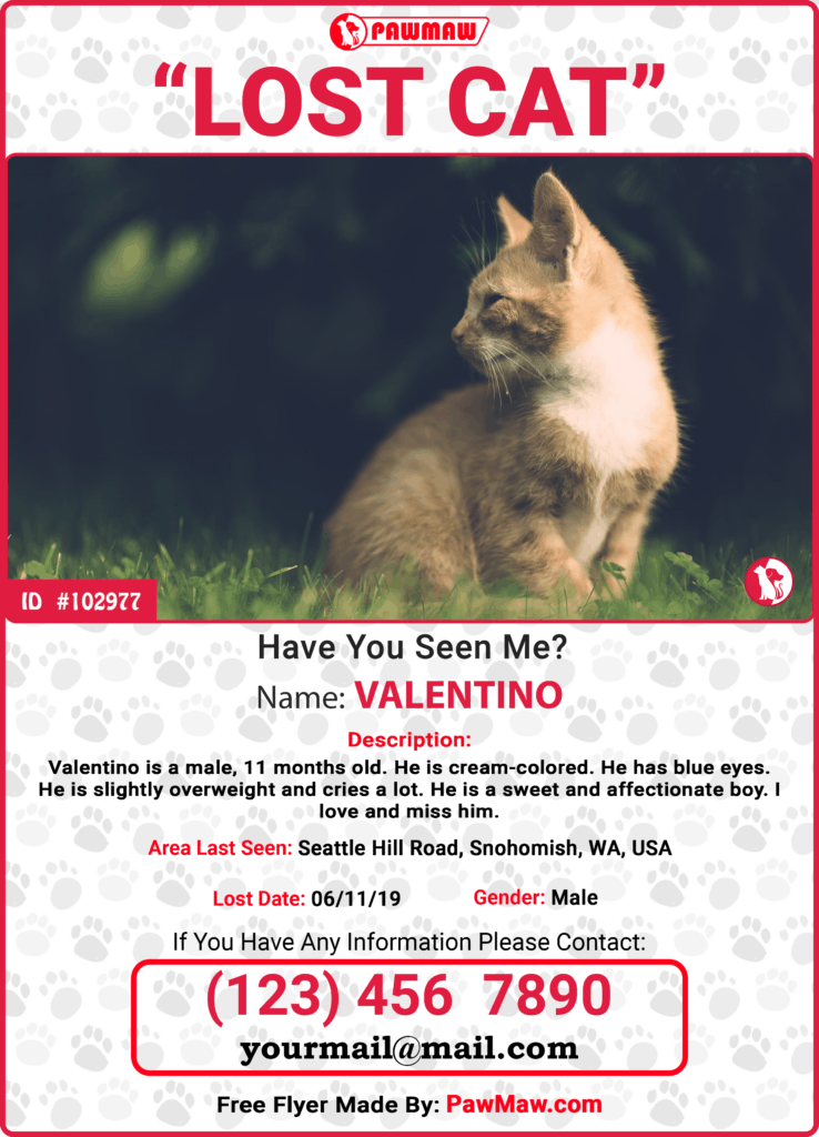 Template for a poster for a lost pet with complete with the pet and the owner's details