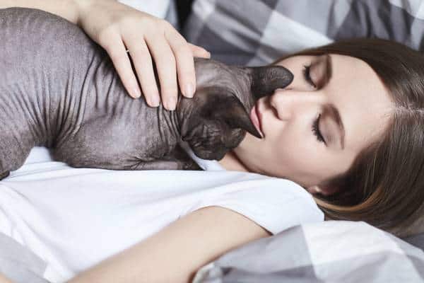 Close up portrait of young lady dozing with a sphinx cat lying on her chest