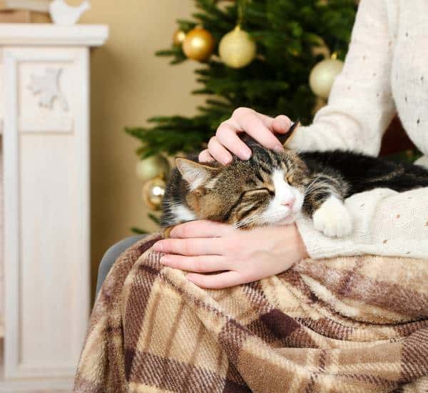 Woman and cute cat sitting on rocking chair in the front of the fireplace