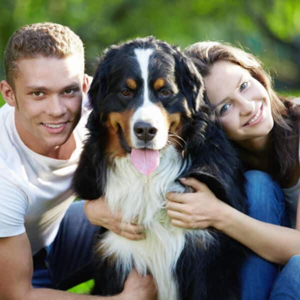 Dog with family