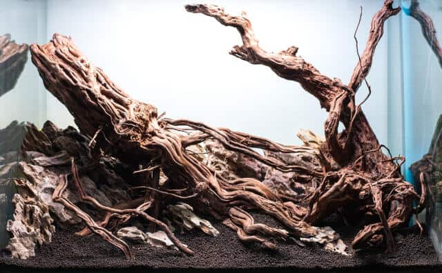 How to Lower PH in Aquarium