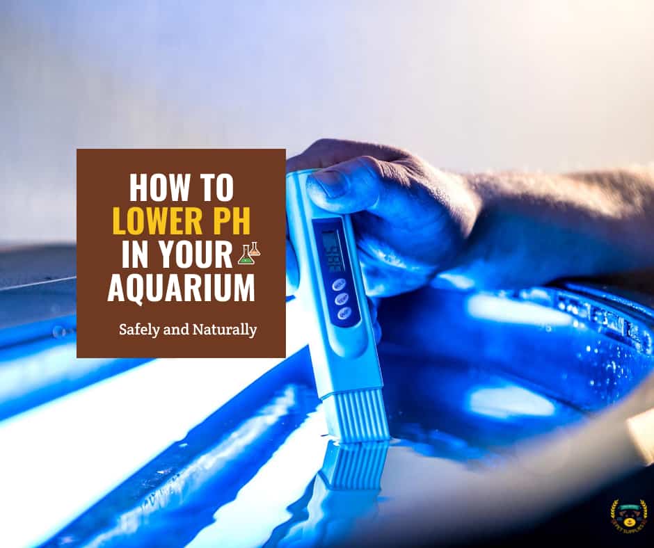 How to Lower PH in Aquarium Safely and Naturally