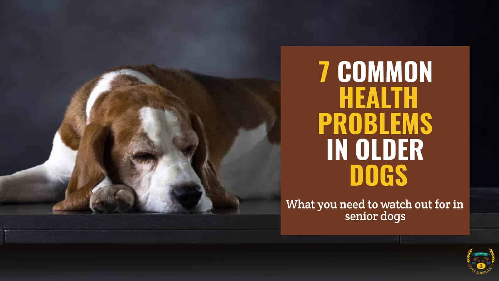 Gwinnett County Animal Hospital