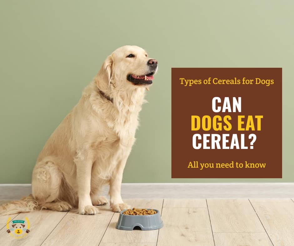 Best cereal on sale for dogs