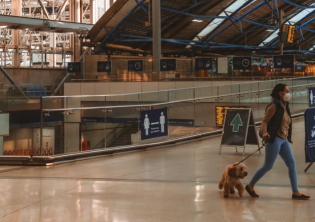 A lady walking with her dog in the airport