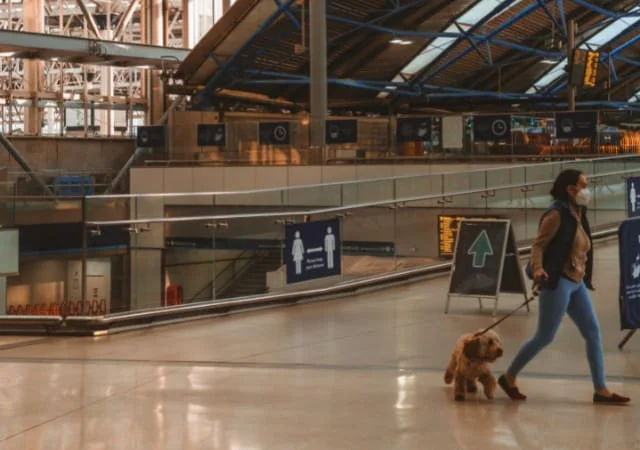 A lady walking with her dog in the airport