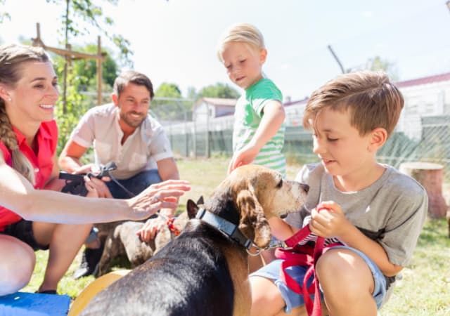 A family of four petting 2 dogs in the outdoors