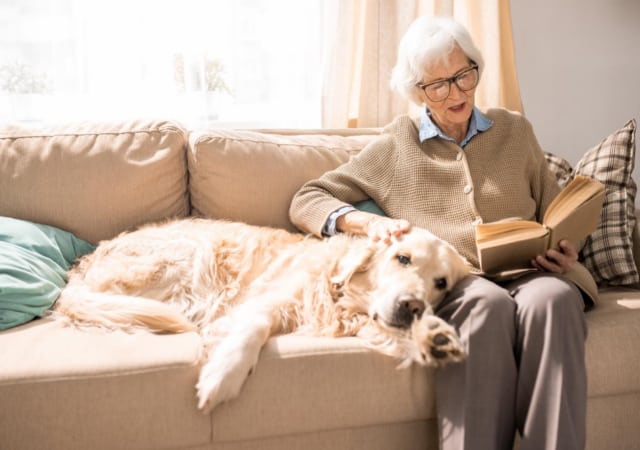 An elderly woman sitting on a couch with a golden retriever