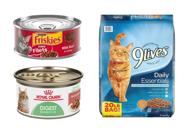 Friskies and Royal Canin wet cat food and 9Lives dry cat food on white background