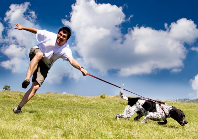A dog pulling on its leash with its owner getting tugged in the outdoors