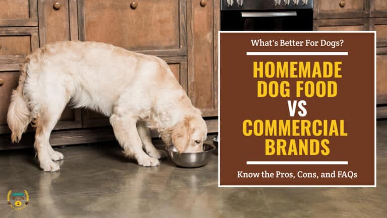 Golden retriever dog eating out of a dog food bowl in the kitchen. Brown textbox on the right contains the text 