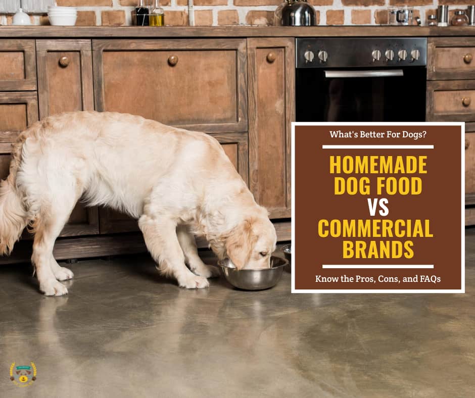 Homemade Dog Food vs Commercial Brands Which is Better