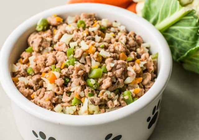 Homemade dog food in a pet food bowl with vegetables in the background