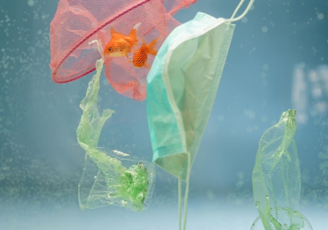 Aquarium cleaning