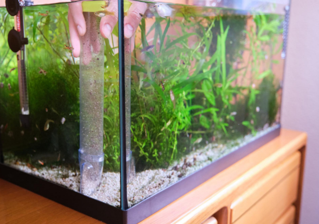 Aquarium with filter