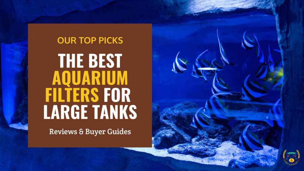The 10 Best Aquarium Filters for Large Tanks - Reviews & Guide